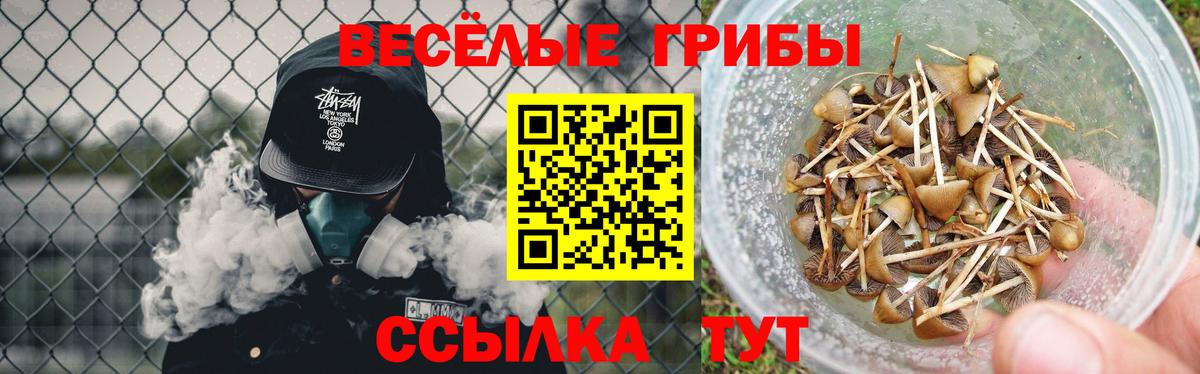 купить наркотики цена  Галлюциногенные грибы мухоморы  Южноуральск  Вход с VPN  Псилоцибиновые грибы Psilocybe 